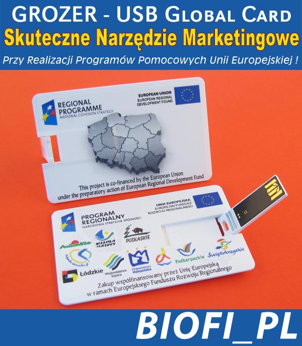 Karta USB Pendrive GROZER - Realizacja Promgramów Pomocowych UE