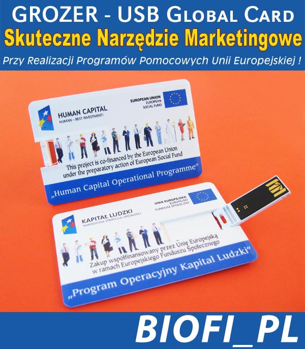 Karta USB Pendrive GROZER - Realizacja Promgramów Pomocowych UE