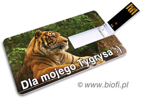 Wspaniała Karta Pendrive GROZER USB 2.0