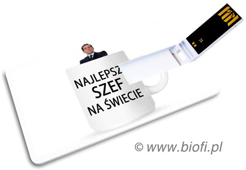 Wspaniała Karta Pendrive GROZER USB 2.0