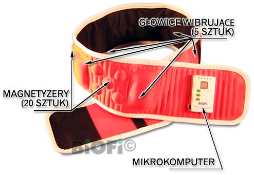 Wielofunkcyjność Pasa Biofi