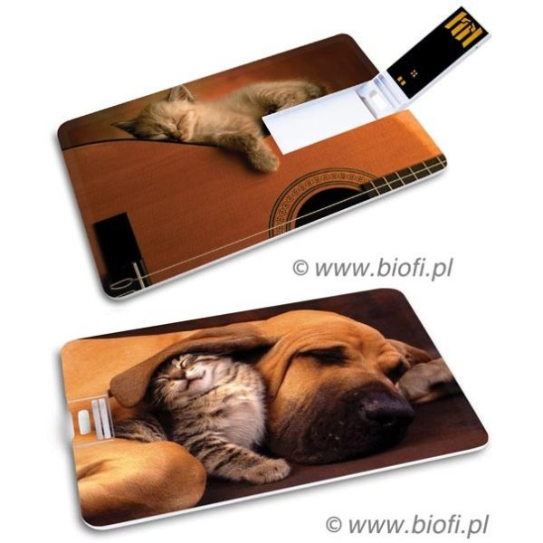 KIBA-040: Kociak i Psiak - GROZER Karta 64GB USB 2.0 + 5 x ETUI RFID
