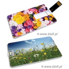 KIBA-069: Kwiaty - GROZER Karta 16GB USB 2.0 + 5 x ETUI RFID