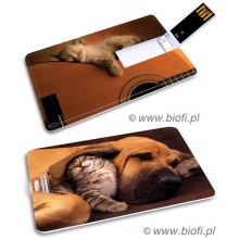 KIBA-040: Kociak i Psiak - GROZER Karta 16GB USB 2.0 + 5 x ETUI RFID