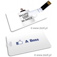 KIBA-050: BOSS - GROZER Karta 16GB USB 2.0 + 5 x ETUI RFID