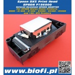 DX5 F186000 - GŁOWICA EPSON DX5
