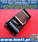 DX5 GPP-0141MUT (DF-49029) - GŁOWICA EPSON DX5