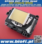 DX7 F196020 - GŁOWICA EPSON SC-P800, 3880, 3800, R3000