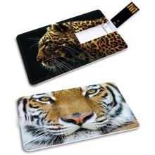 KIBA-004: Tygrys - GROZER Karta 16GB USB 2.0 + 5 x ETUI RFID